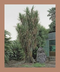 Oksun Kim Jeju Island /anglais