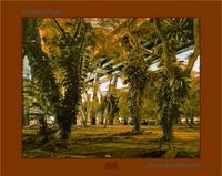 Peter Bialobrzeski Paradise Now /anglais