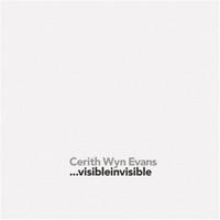 CERITH WYN EVANS VISIBLEINVISIBLE /ANGLAIS/ESPAGNOL