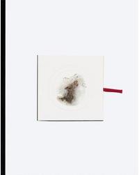 Cai Guo-Qiang Head On /anglais