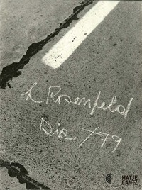 Lotty Rosenfeld /anglais