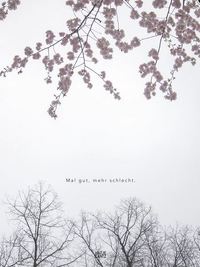 Nora Klein Mal gut, mehr schlecht /allemand