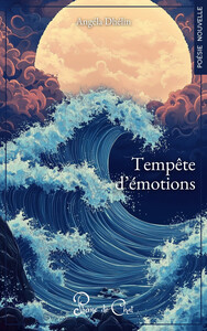 Tempête d'émotions