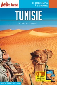 TUNISIE 2017 CARNET PETIT FUTE
