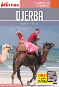 DJERBA 2016 CARNET PETIT FUTE