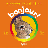 LA JOURNEE DU PETIT LAPIN
