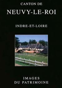 Canton De Neuvy-Le-Roi N°219
