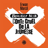 BERURIER NOIR