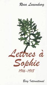 LETTRES A SOPHIE 1916-1918