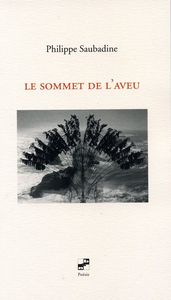 Le sommet de l'aveu