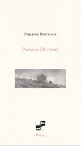 Paysage déchiré