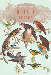 LES OISEAUX DE CORSE