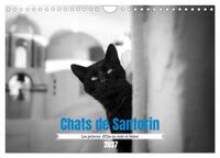 Chats de Santorin - Les princes d'Oia en noir et blanc (Calendrier mural 2027 DIN A4 vertical), CALVENDO calendrier mensuel