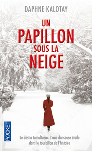 UN PAPILLON SOUS LA NEIGE
