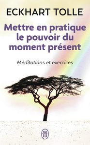 METTRE EN PRATIQUE LE POUVOIR DU MOMENT PRESENT - ENSEIGNEMENTS ESSENTIELS, MEDITATIONS ET EXERCICES