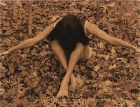 Sharmila Desai: Sristi /anglais