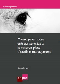 MIEUX GÉRER VOTRE ENTREPRISE GRÂCE À LA MISE EN PLACE D'OUTILS E-MANAGEMENT