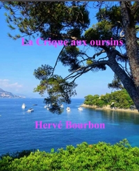 LA CRIQUE AUX OURSINS