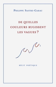 DE QUELLES COULEURS RUGISSENT LES VAGUES ? - RECIT POETIQUE