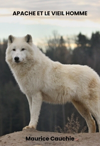 APACHE ET LE VIEIL HOMME