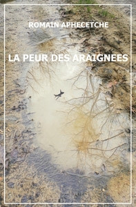 LA PEUR DES ARAIGNEES