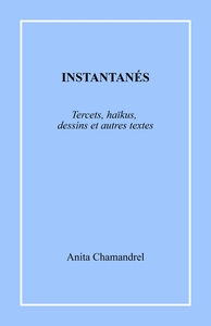 INSTANTANES - TERCETS, HAIKUS, DESSINS ET AUTRES TEXTES