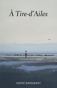 À tire-d'ailes