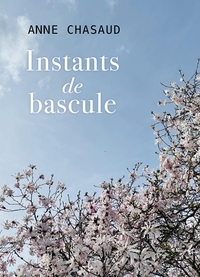 INSTANTS DE BASCULE - ROMAN