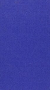 Ami et Amile, une chanson de Geste de l'amitié