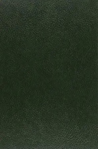 Nouvelles françaises inédites du XVe  siècle. (1908)