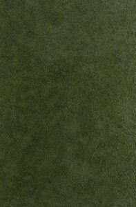 Un Disciple de Ronsard : Amadis Jamyn, 1540-1593. (1929)