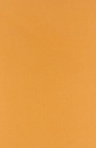 La Nouvelle française au XVe siècle. (1910).