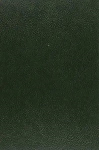 Le Prisonnier desconforté du château de Loches. Poème  inédit du XVe  siècle