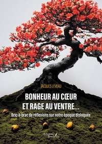 BONHEUR AU COEUR ET RAGE AU VENTRE... - BRIC-A-BRAC DE REFLEXIONS SUR NOTRE EPOQUE DISLOQUEE