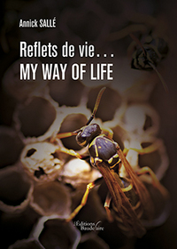 REFLETS DE VIE... MY WAY OF LIFE