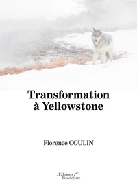 TRANSFORMATION A YELLOWSTONE