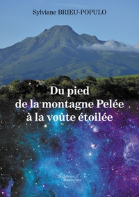 DU PIED DE LA MONTAGNE PELEE A LA VOUTE ETOILEE