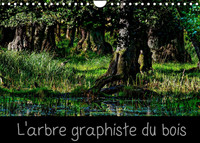 L'ARBRE GRAPHISTE DU BOIS (CALENDRIER MURAL 2022 DIN A4 HORIZONTAL) - L'ARBRE EST LE GRAPHISTE DE LA