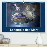 Le temple des Mers (Premium, hochwertiger DIN A2 Wandkalender 2022, Kunstdruck in Hochglanz)