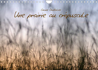 Une prairie au crépuscule (Calendrier mural 2022 DIN A4 horizontal)