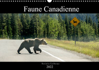 FAUNE CANADIENNE (CALENDRIER MURAL 2022 DIN A3 HORIZONTAL) - A LA RENCONTRE DE LA FAUNE OUEST-CANADI