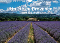 Un été en Provence dans le Luberon (Calendrier mural 2022 DIN A4 horizontal)