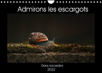 ADMIRONS LES ESCARGOTS (CALENDRIER MURAL 2022 DIN A4 HORIZONTAL) - DANS NOS JARDINS (CALENDRIER MENS