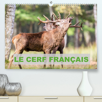 Le Cerf Français (Premium, hochwertiger DIN A2 Wandkalender 2022, Kunstdruck in Hochglanz)