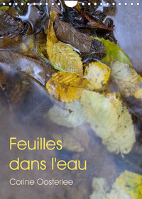Feuilles dans l'eau (Calendrier mural 2022 DIN A4 vertical)