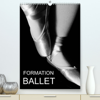 Formation Ballet (Premium, hochwertiger DIN A2 Wandkalender 2022, Kunstdruck in Hochglanz)