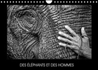 DES ELEPHANTS ET DES HOMMES (CALENDRIER MURAL 2022 DIN A4 HORIZONTAL) - LA RELATION ENTRE LES ELEPHA