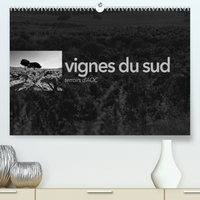 VIGNES DU SUD TERROIRS D'AOC (PREMIUM, HOCHWERTIGER DIN A2 WANDKALENDER 2022, KUNSTDRUCK IN HOCHGLAN