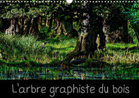 L'ARBRE GRAPHISTE DU BOIS (CALENDRIER MURAL 2022 DIN A3 HORIZONTAL) - L'ARBRE EST LE GRAPHISTE DE LA