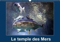 Le temple des Mers (Calendrier mural 2022 DIN A3 horizontal)